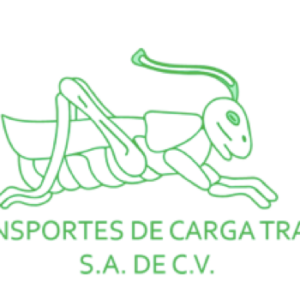 Transportes de Carga Travel, S.A. de C.V.