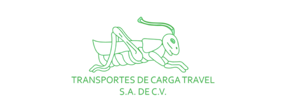 Transportes de Carga Travel, S.A. de C.V.